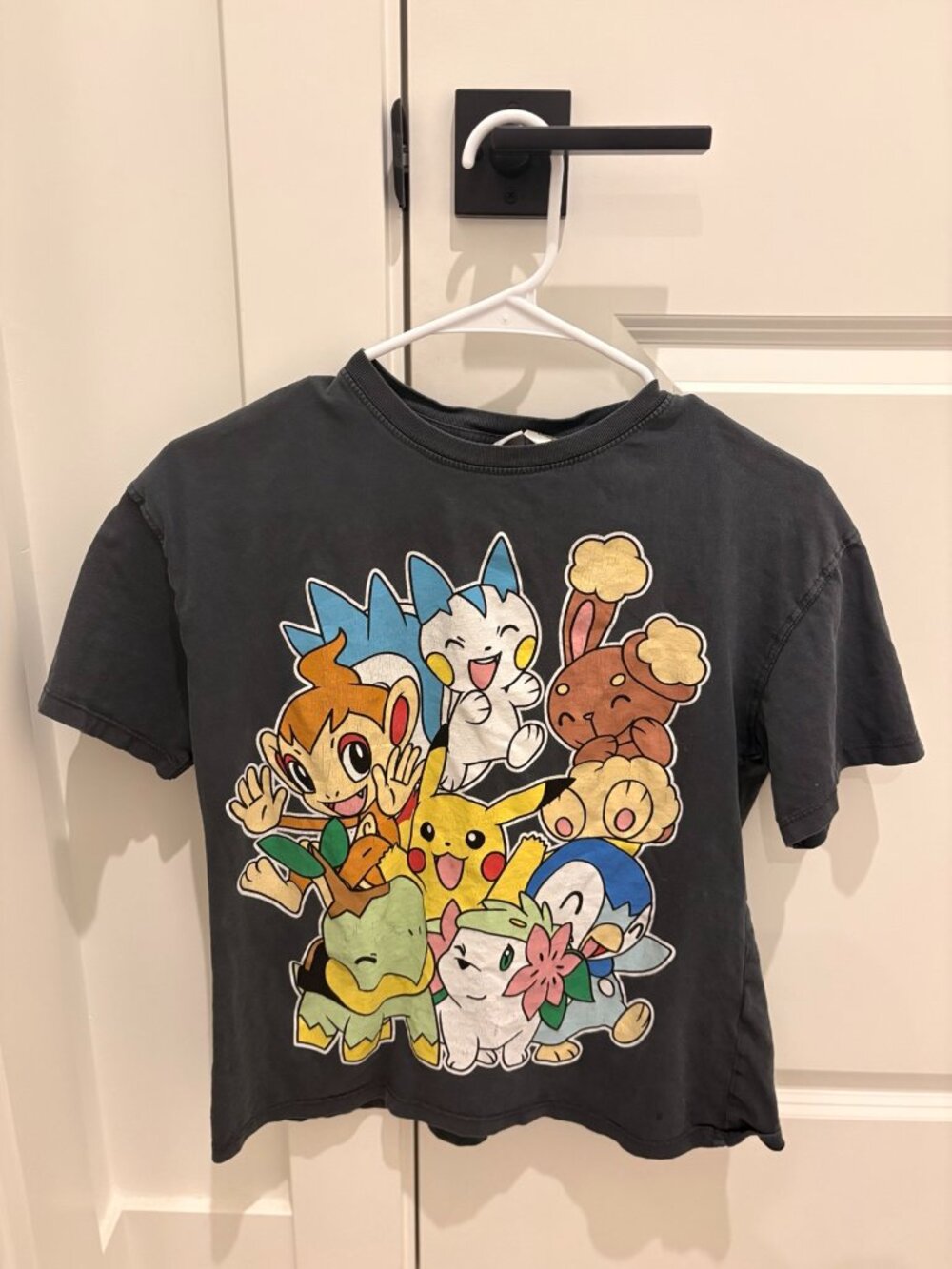 Zara x Pokémon Washed Graphic Tee